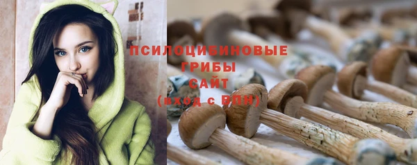 mdma Нязепетровск