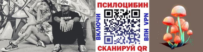 Галлюциногенные грибы Cubensis  купить   Тавда 